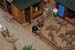 Western_164